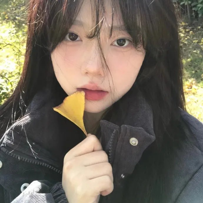 艾拉的青春日志2.0